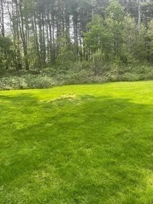 Photo of 563 Concord Road