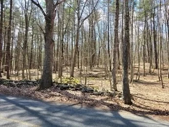 Photo of Lot 2 Daniels Road