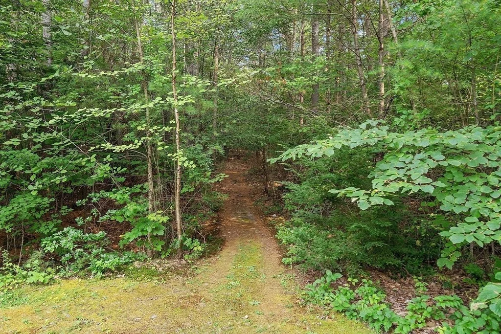 Photo of 9 Hosmer Road