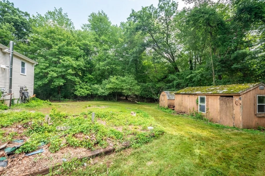 Photo of 81 Border Rd