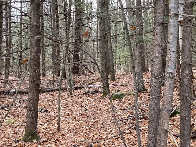 Photo of Lt 55 Wendell Rd