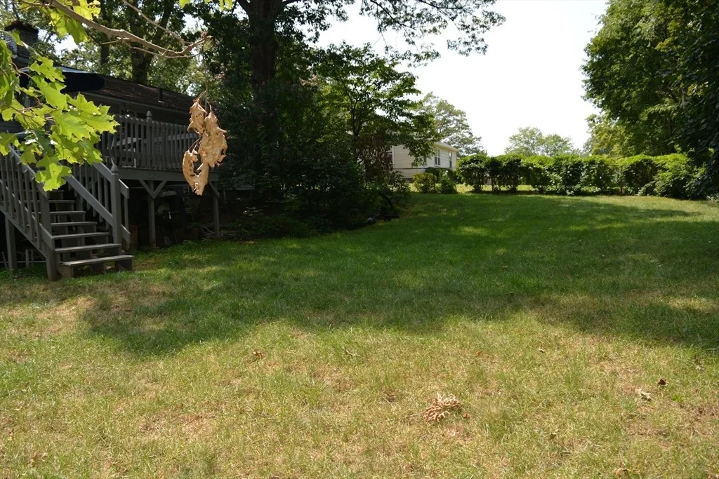 Photo of 52 Exeter Street