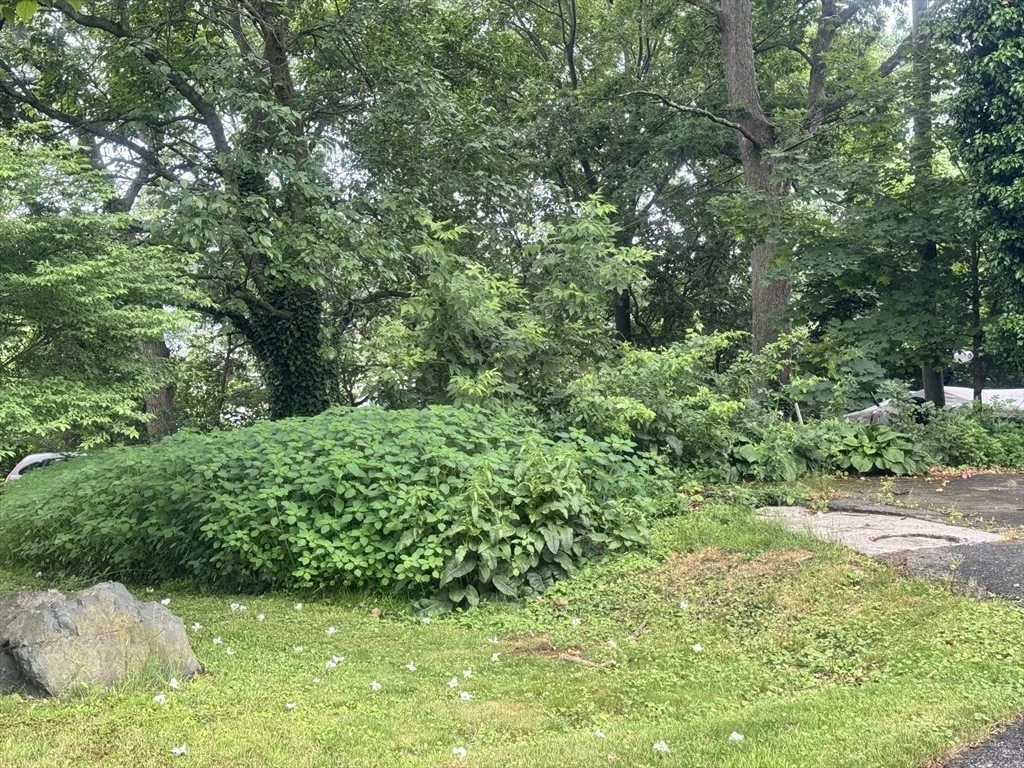 Photo of 39 Cheever Rd