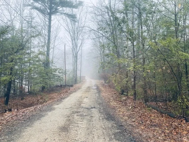 Photo of 44 Warwick Rd
