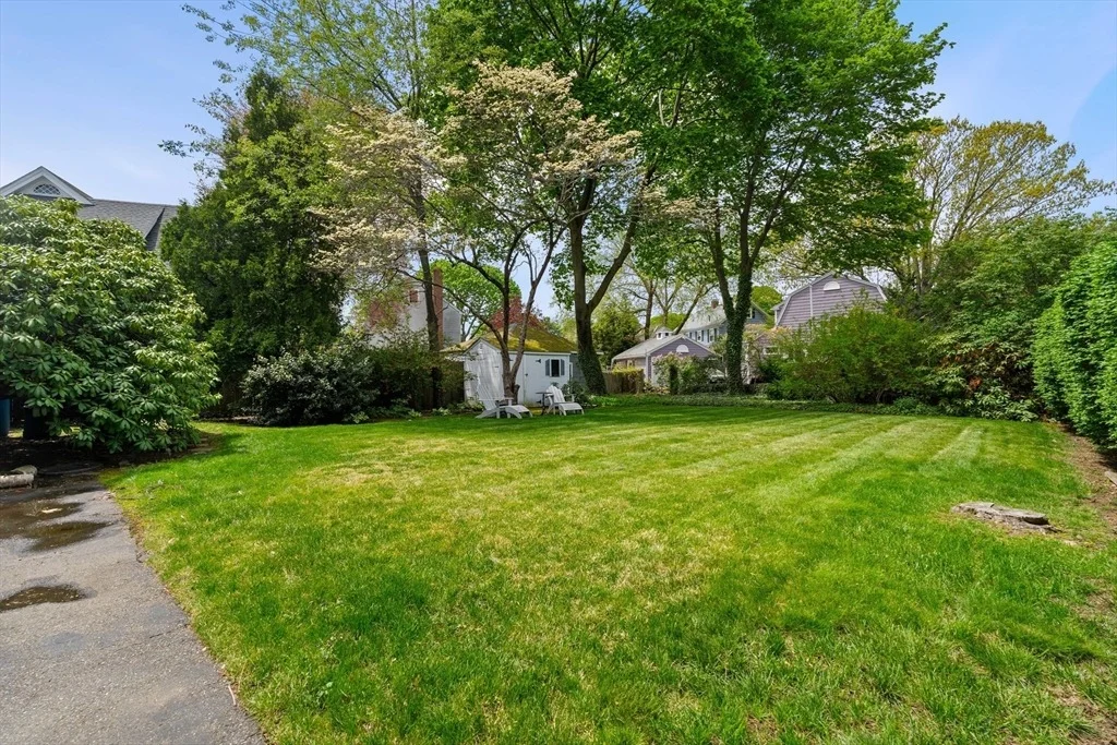 Photo of 2 Cedar