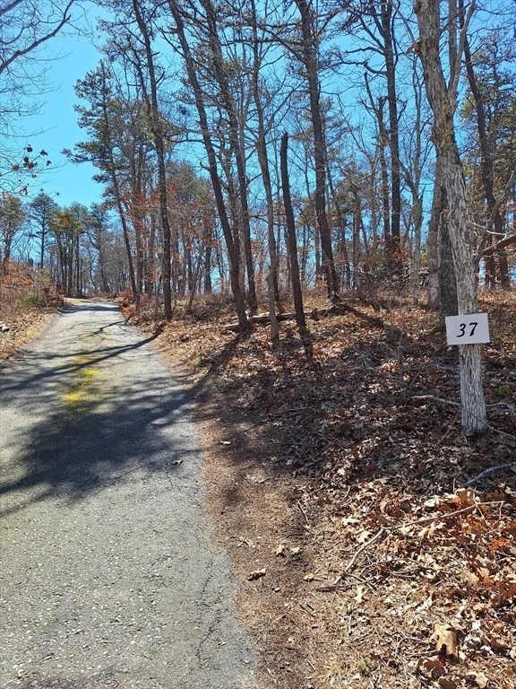 Photo of 37 Oak Valley Rd