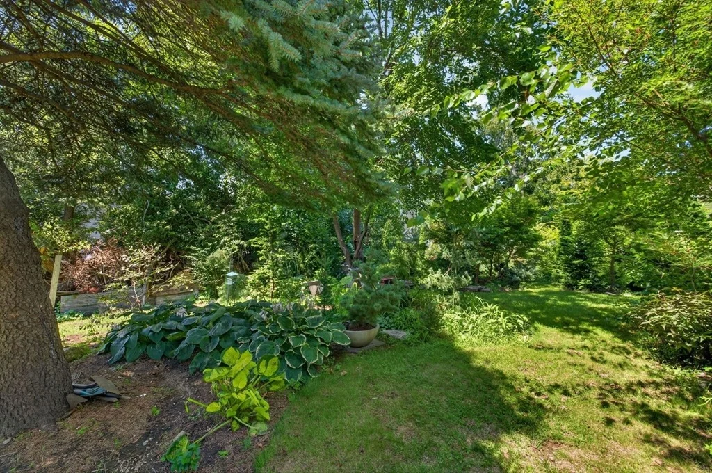 Photo of 55 Irving St