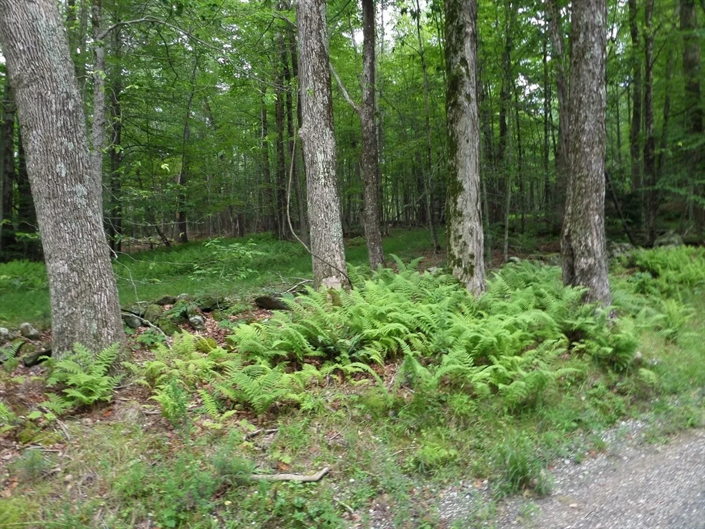 Photo of 0 Pynchon Rd