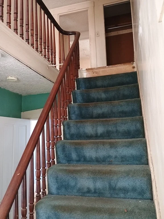 Photo of 9 Olive Street