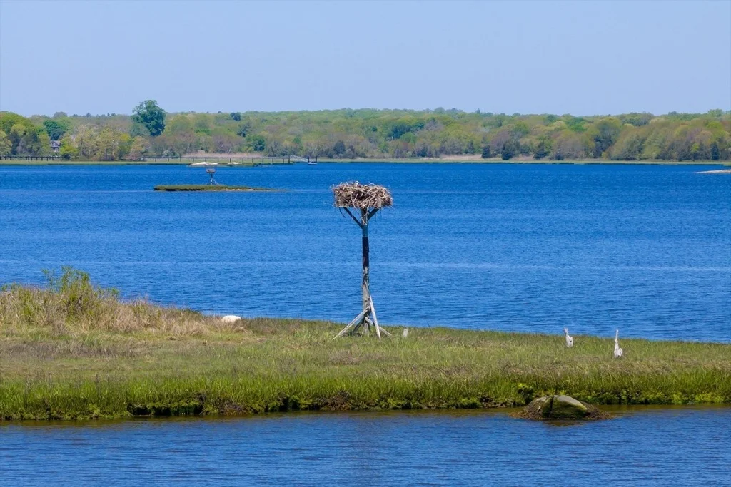 Photo of 246 River Road
