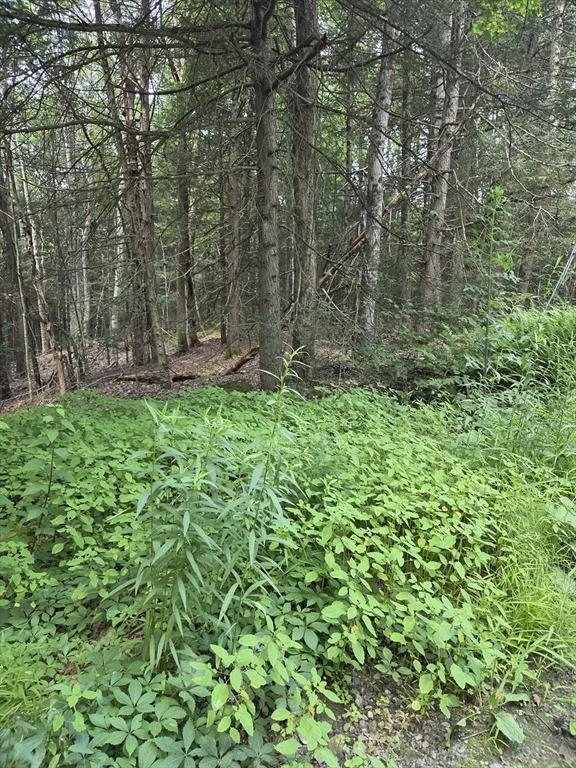 Photo of Lot 2 Sampson Road