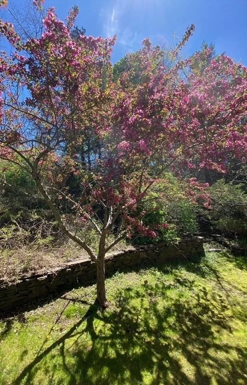Photo of 278 Middle St