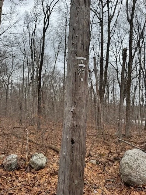 Photo of Lot 5 Gould Road