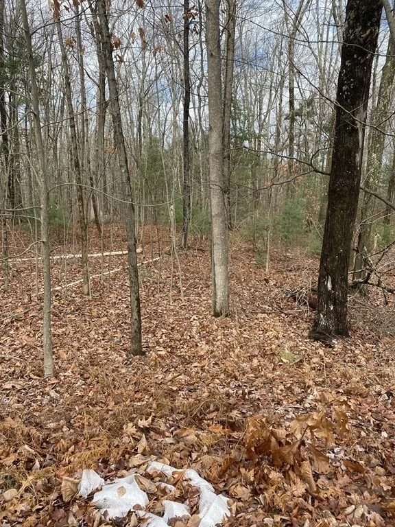 Photo of Lot 169-22 Beebe Rd
