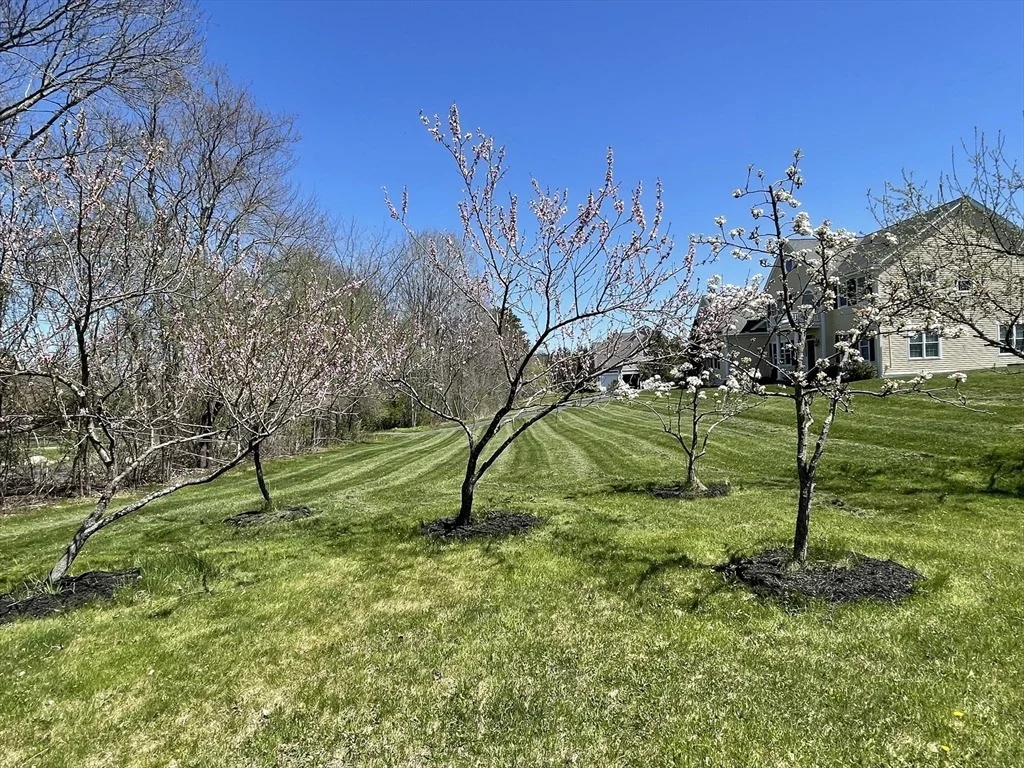 Photo of 43 Old Mill Rd