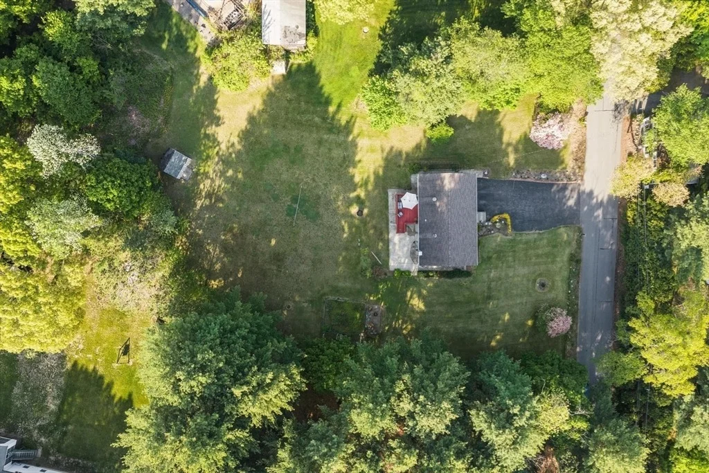 Photo of 12 Murphy