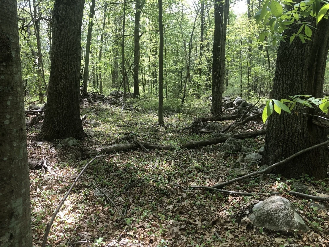 Photo of 451R Gilbert