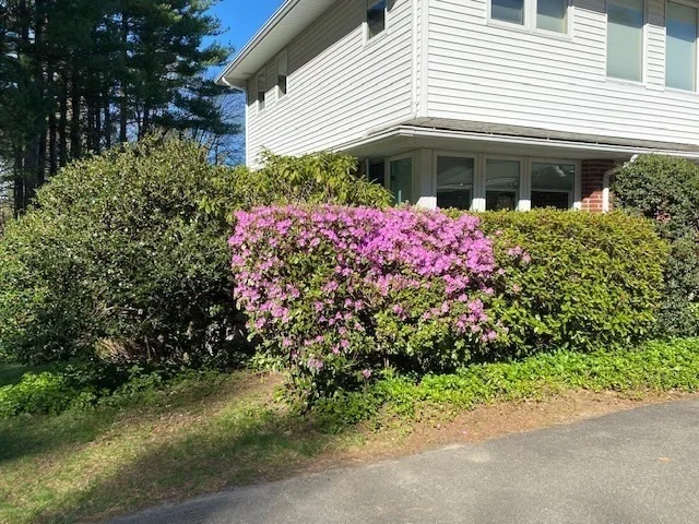 Photo of 61 Arnold Rd