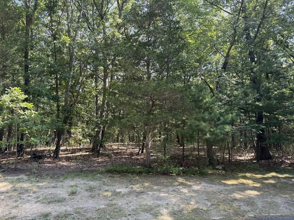 Photo of 3 Reiling Pond Road