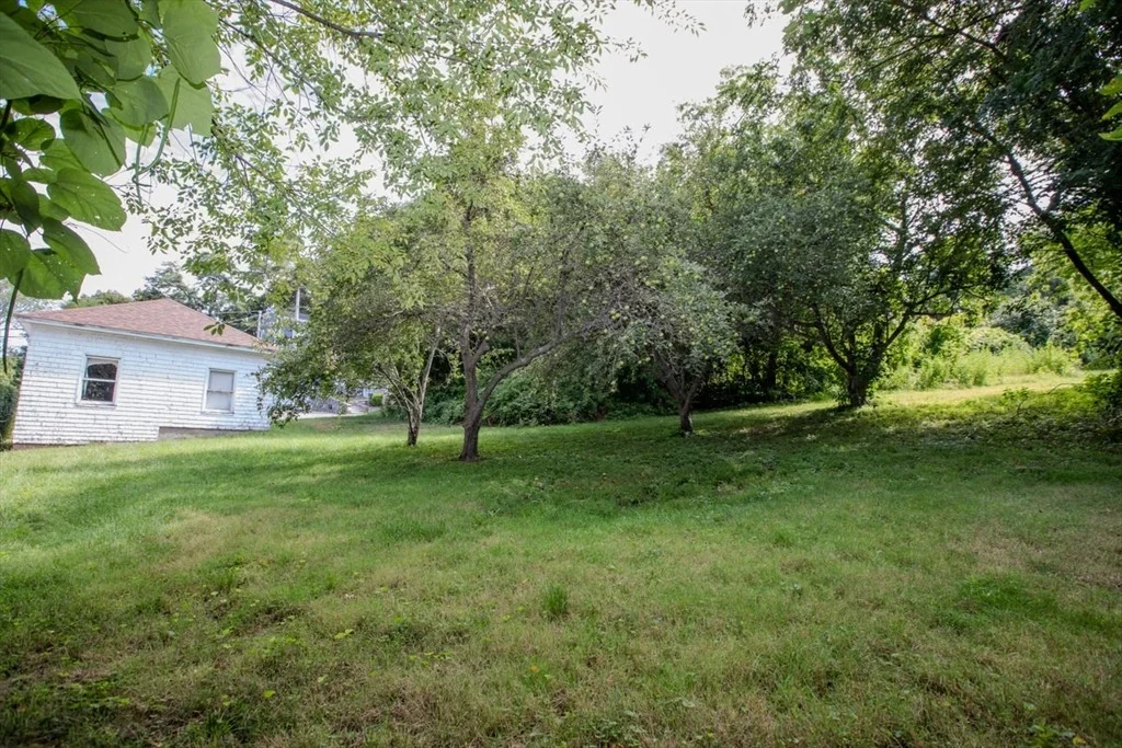 Photo of 99 Jones St