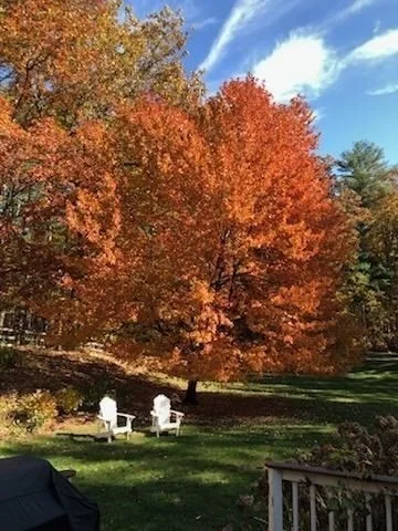 Photo of 7 Trout Brook Way