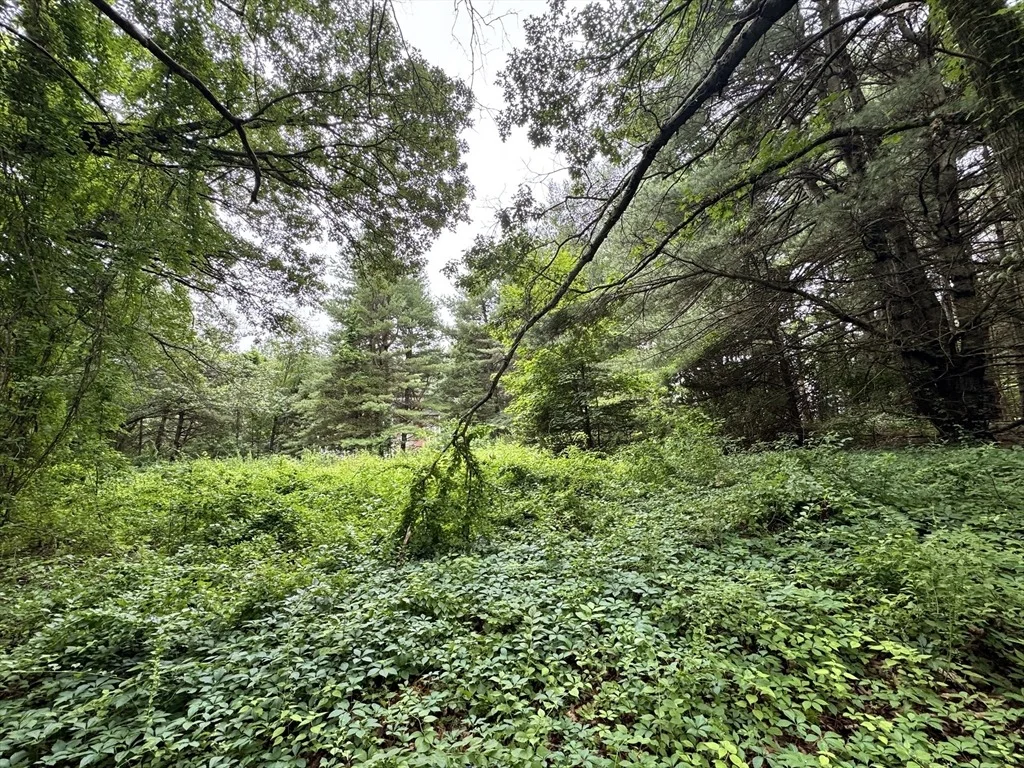 Photo of 22 Haggetts Pond Rd