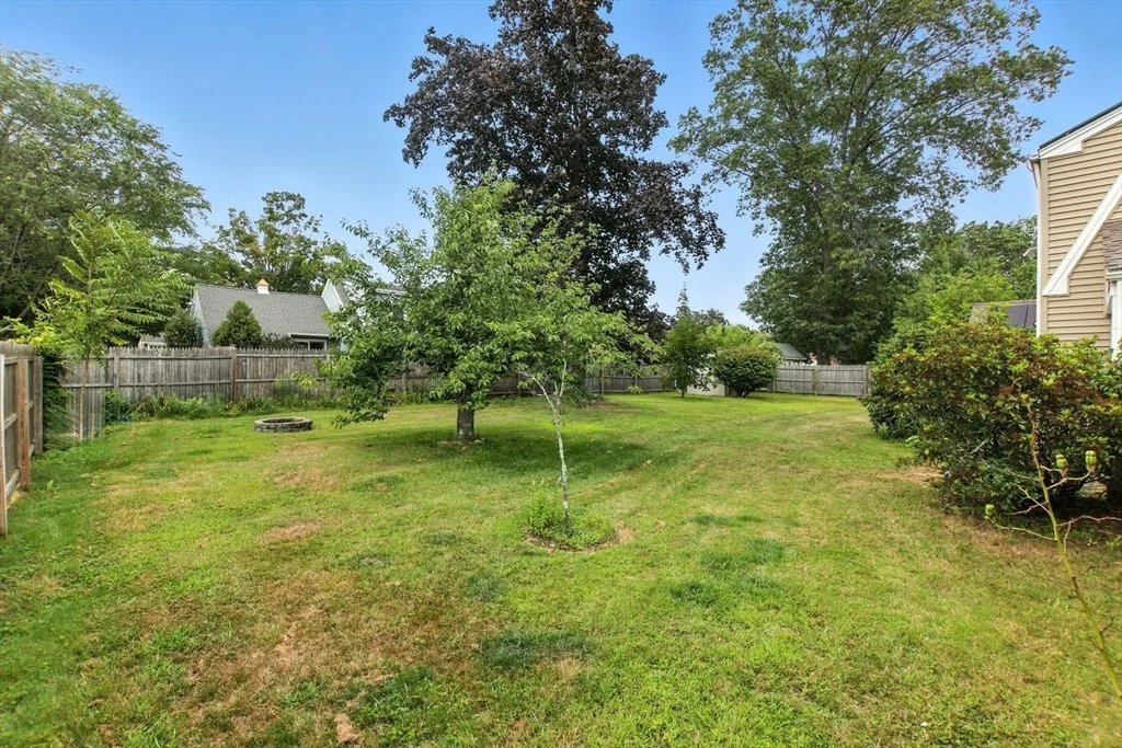 Photo of 384 Abbott St