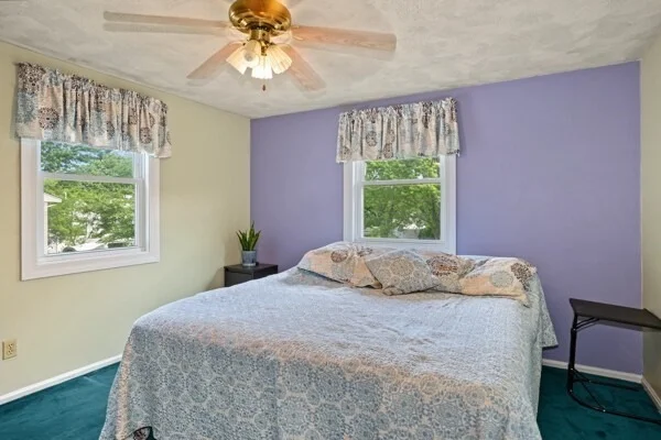 Photo of 5 William Rd