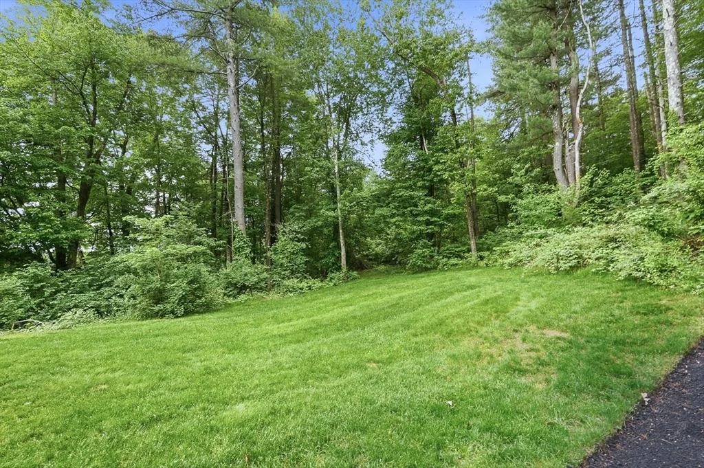 Photo of 23 Brooks Xing