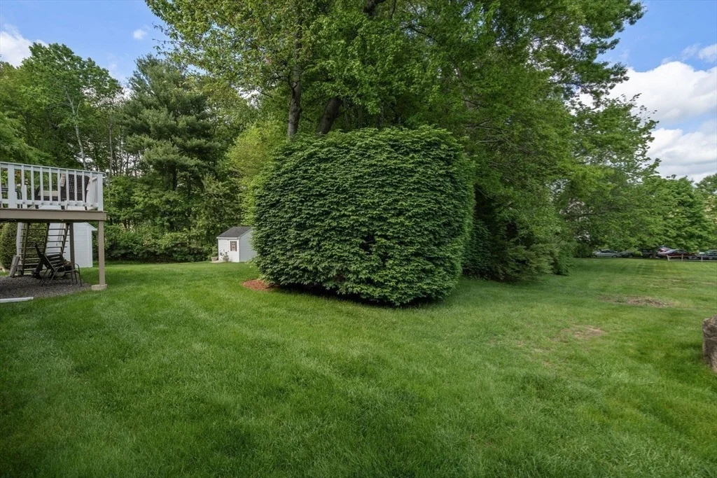 Photo of 53 Timberline Road
