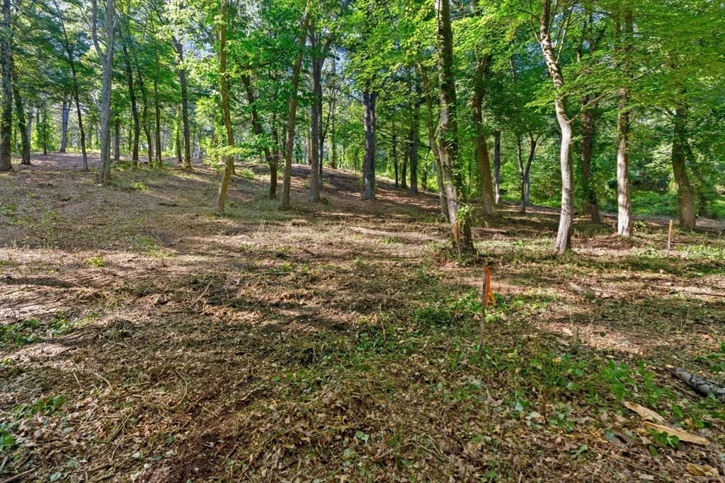 Photo of 45 Pine Swamp