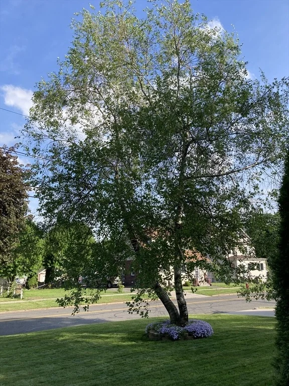 Photo of 13 Smith Ave