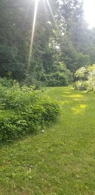 Photo of 11 Longfellow Rd