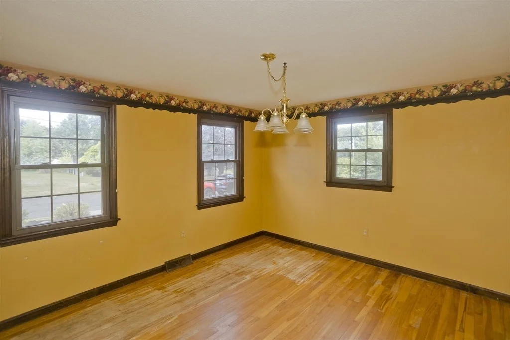 Photo of 29 Lester