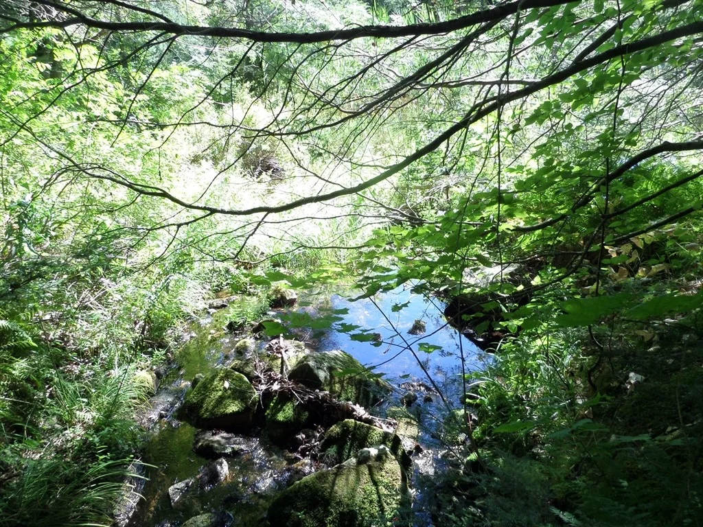 Photo of 155 River Rd