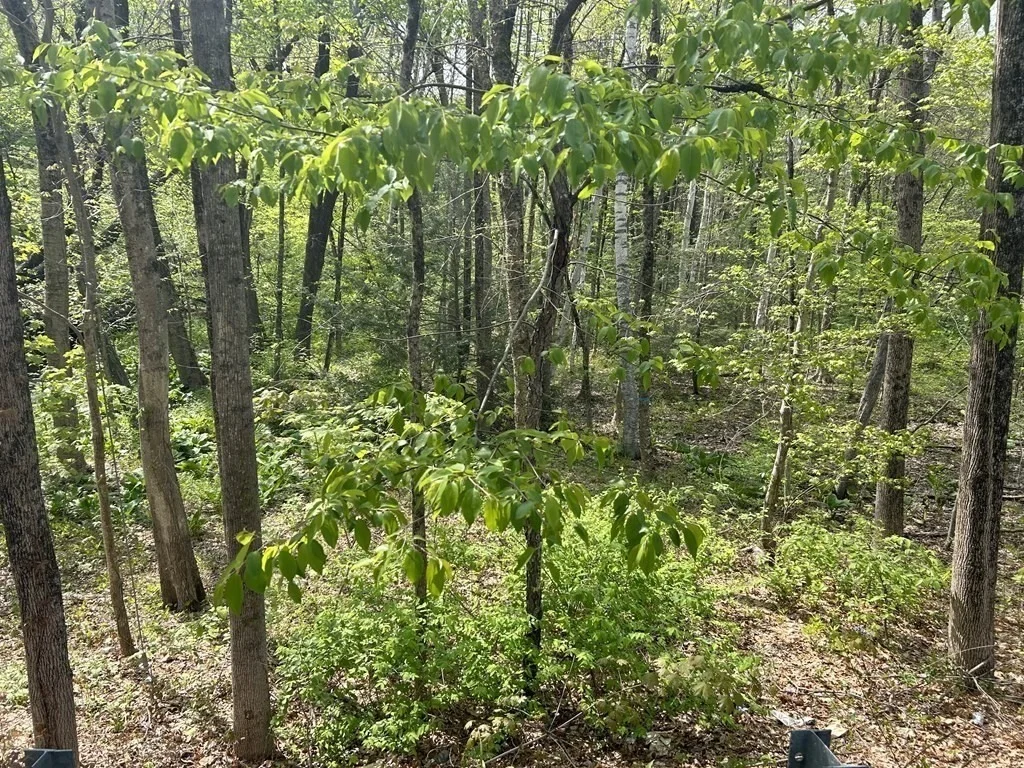 Photo of 0 Parker Rd
