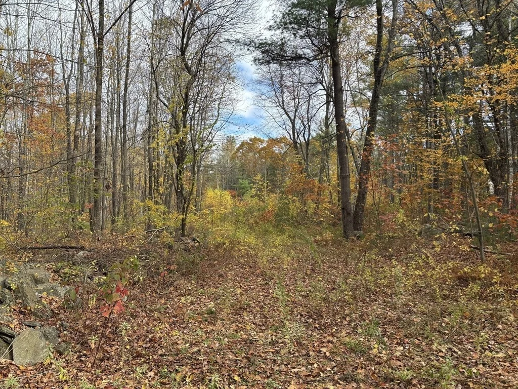 Photo of Lot 3 Clapp Road