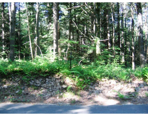 Photo of Lot 7 Riceville Road