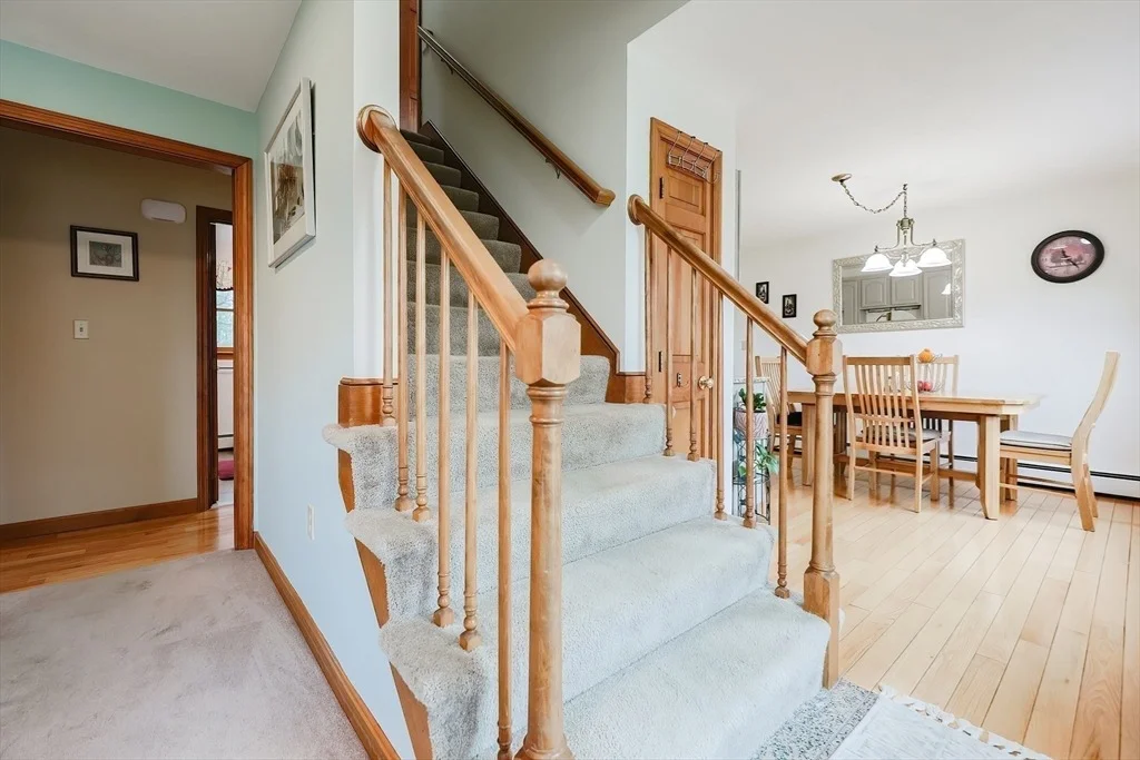 Photo of 29 Short St