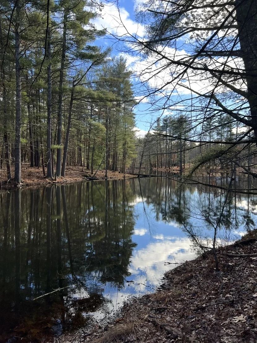 Photo of 135 Lowell Rd