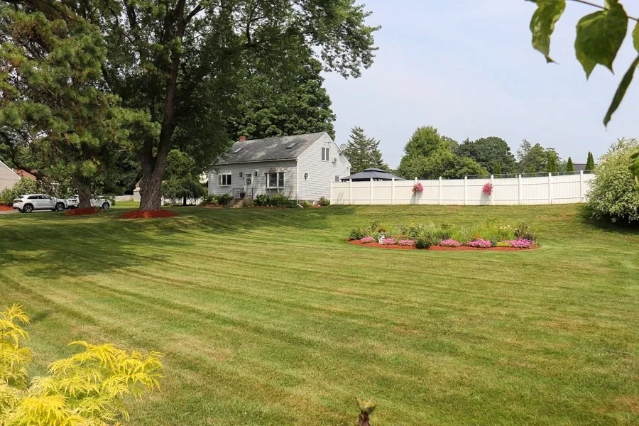 Photo of 6 Rawson Ave