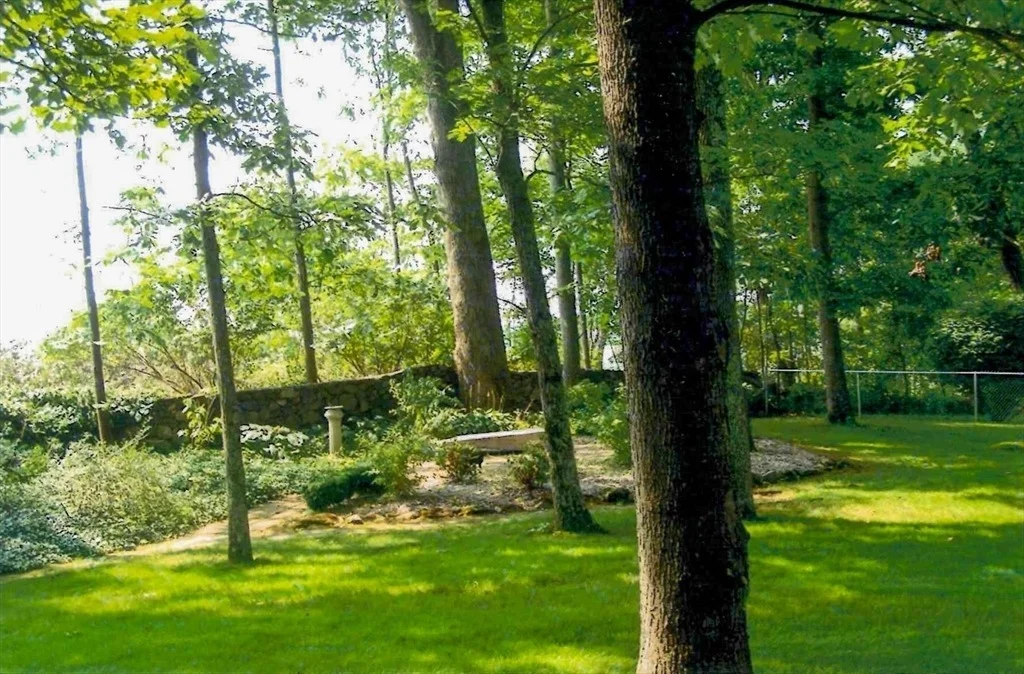 Photo of 16 Argilla Rd