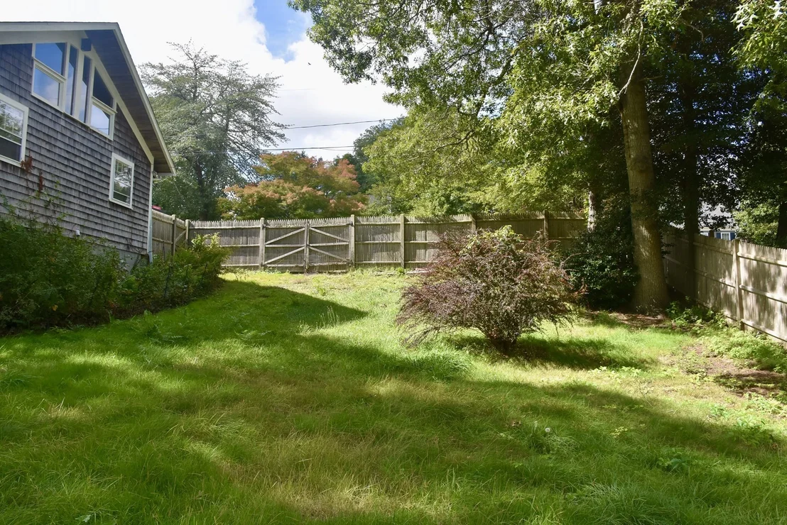 Photo of 82 Gooseberry