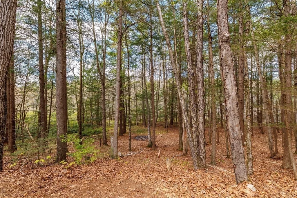Photo of 23 Birches Rd