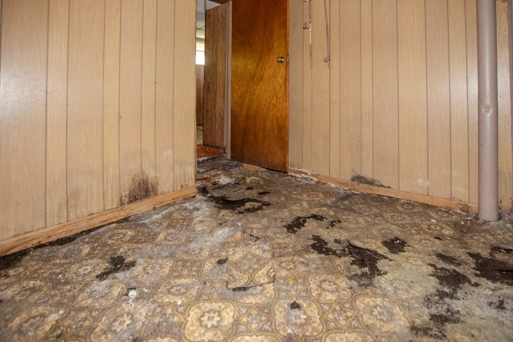 Photo of 99 Jones St