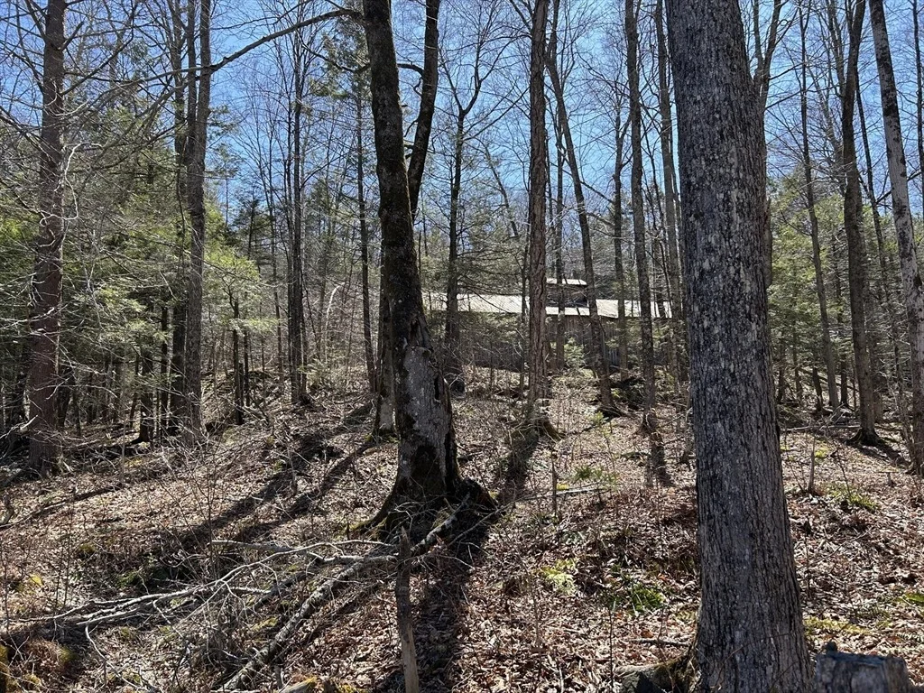 Photo of 71 Dodge Rd