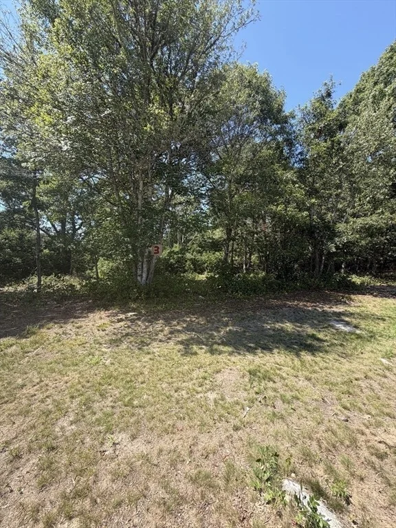 Photo of Lot 3 Thomas Cory Ln