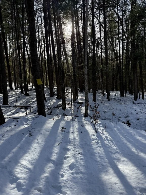 Photo of 0 Four Mile Brook Rd