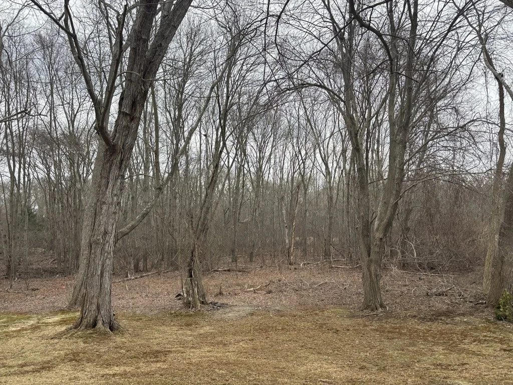 Photo of 52 Bushee Rd