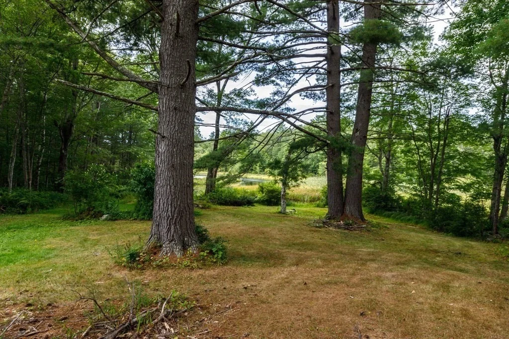 Photo of 343 Lake Road